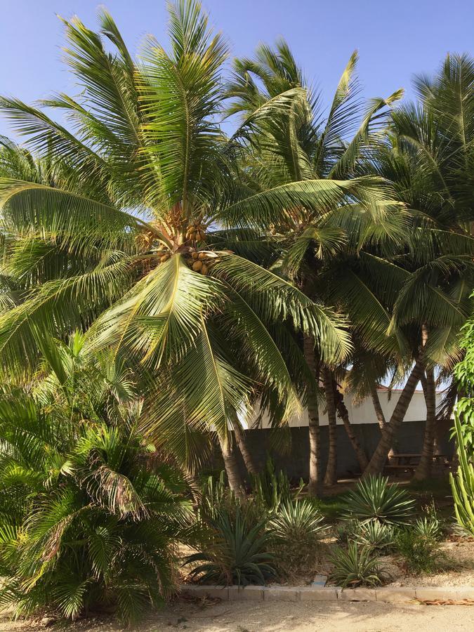 Bubali Gardens Leilighet Palm Beach Eksteriør bilde