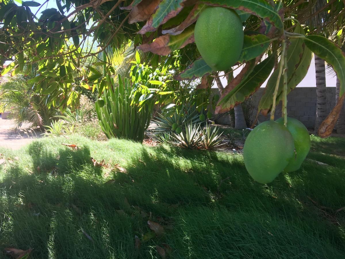 Bubali Gardens Leilighet Palm Beach Eksteriør bilde